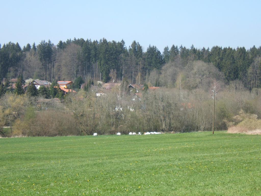 Ferienwohnung Schwahn Kleinschonach Dış mekan fotoğraf